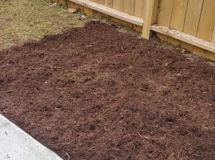 Mulching by Chris Stewart for Olivia E. in Washington, DC