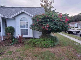 Bush Trimming by Milynel Burgos for Lauren D. in Winter Park, FL