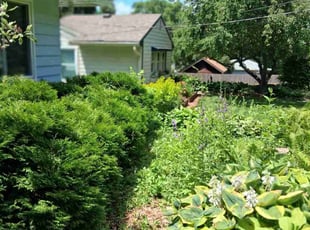 Weeding by Kevin Rhyne for Allison A. in Madison, WI