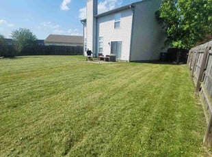 Cassandra F.'s Lawn Mowing service result
