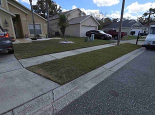 Burt S.'s Lawn Care service result