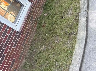 Weeding by Luis Contreras for Sean G. in Indianapolis, IN