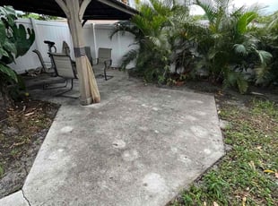 Leaf Removal by Devin Wiggins for Matt S. in Fort Lauderdale, FL