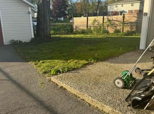 Julie W.'s Lawn Mowing service result
