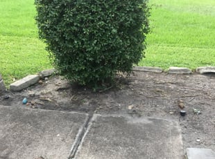 Landscaping by Sophia Paige for Wilma R. in Cypress, TX