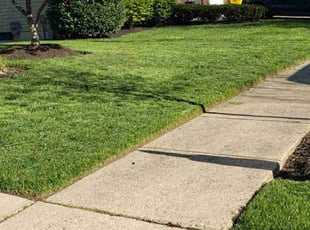 Theodore B.'s Lawn Care service result