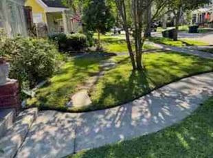 Cindy W.'s Lawn Mowing service result