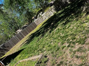 Leaf Removal by Caleb Bradley for Emily F. in Bel Aire, KS