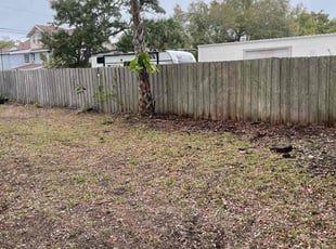 Cleanups by Tyler Greeley for Joanne P. in Clearwater, FL