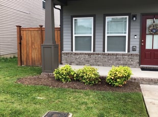 Weeding by Christopher Darnell for Mildred S. in Nashville, TN