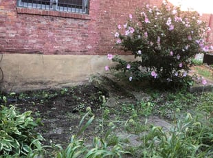 Weeding by Larry Anthony Johnson for Steve K. in Cleveland, OH