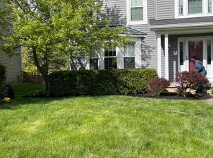 Mulching by Steven Green for Tia R. in Dayton, OH