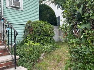 Bush Trimming by Tara Hanson for Timothy E. in Medford, MA