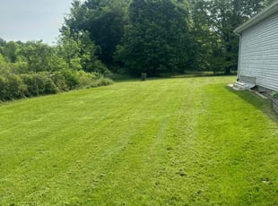 Elle M.'s Lawn Service service result