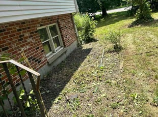 Bush Trimming by Shyron Caldwell for Lisa A. in Naugatuck, CT