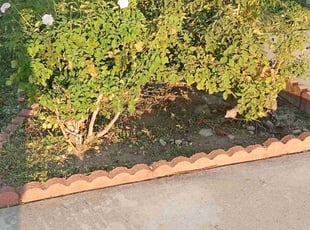 Bush Trimming by Brenden Henderson for Tonia B. in Fontana, CA