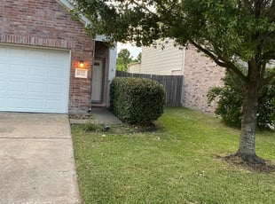 Bush Trimming by Agapito Rivera for Amy M. in Houston, TX