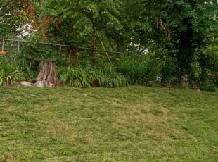 Weeding by Nicole Gorman for Royetta F. in Kansas City, KS