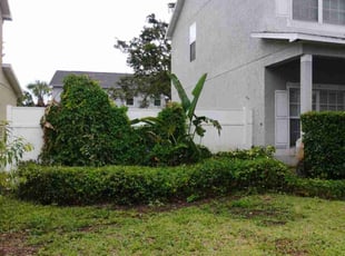 Bush Trimming by Derek Washington for Victor M. in Pinellas Park, FL