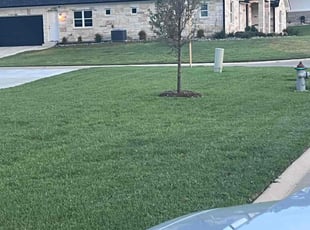 Anne M.'s Lawn Mowing Service service result