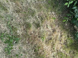 Cleanups by dylan sullivan for Katie H. in Denver, CO