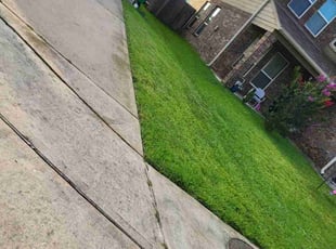 Cleanups by Pamela Gomez for Devin L. in Spring, TX