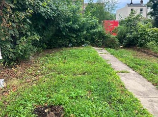 Cleanups by Feliciano Matos for Priscella R. in Allentown, PA