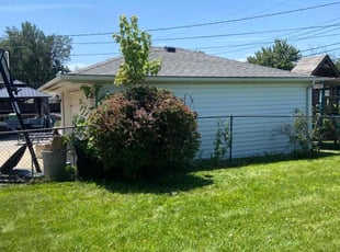 Bush Trimming by Ricardo Binyard Jr for Raviv R. in Eastpointe, MI