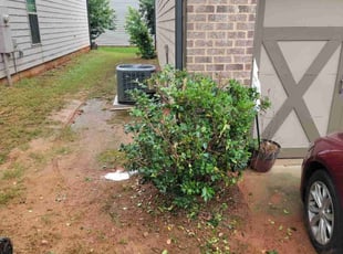 Bush Trimming by Carlos Wright for Keith F. in Buford, GA