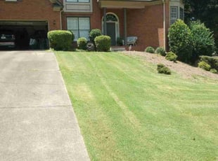 Bush Trimming by Montgomery Roberts for Kristi T. in Marietta, GA
