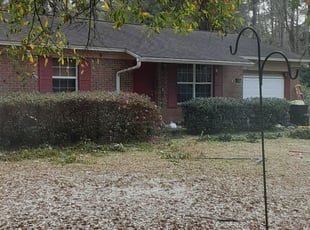 Bush Trimming by Alan Hollis for Summer S. in Tallahassee, FL