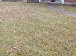 Cleanups by Joshua Bauer for Jeannine K. in Pittsburgh, PA