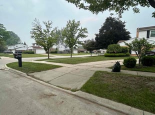 Leaf Removal by Trevor Turner Jr for Nikiea W. in Southfield, MI