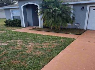 Weeding by Jose Medina for Anthony M. in Kissimmee, FL