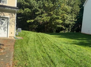Ally N.'s Yard Cutting service result