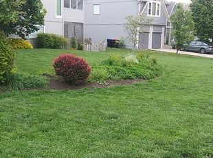 Bush Trimming by John Walters for Mark B. in Shawnee, KS