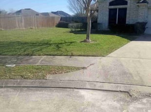 Sydney M.'s Yard Cutting service result