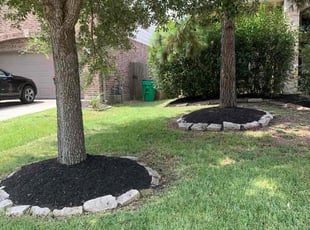 Cleanups by Dulce Aguirre for Mark Q. in Houston, TX