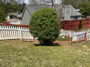 Bush Trimming by Matthew Veal for Derek B. in Sugar Hill, GA