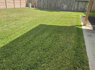 Kathy S.'s Lawn Care service result