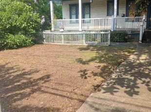 Leaf Removal by Jazzmin Earl for Holly S. in Decatur, GA