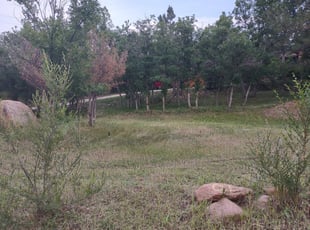 Weeding by John Smith for Nancy C. in Colorado Springs, CO