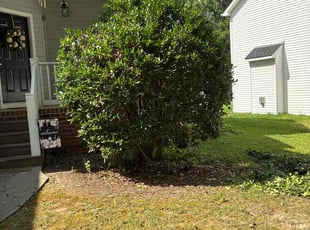 Bush Trimming by Amanda Carter for Tashiba J. in Garner, NC