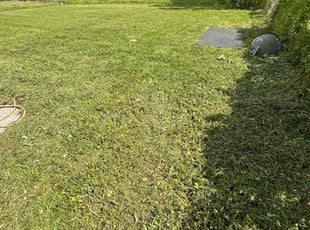 Cleanups by Hector Mieles for Raymondo p. in Orlando, FL