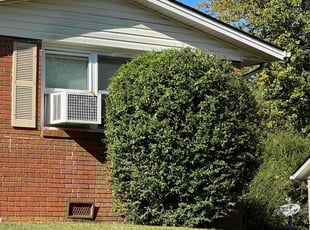 Bush Trimming by Jim Cooper for PARTRICA H. in Asheville, NC