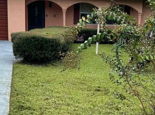 Bush Trimming by Henry McKinney for Sharissa C. in Deltona, FL