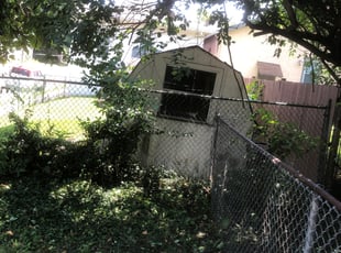 Bush Trimming by Nakell Williams for Jon T. in Cincinnati, OH
