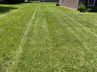 James B.'s Lawn Mowing service result
