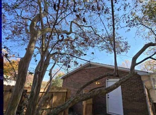 Leaf Removal by Kea Jarvis for emmett l. in Winston-Salem, NC
