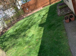 Cleanups by Kyle Yacko for Katie F. in Oak Park, MI